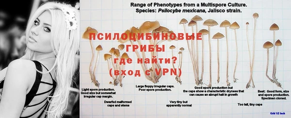 тгк Балахна