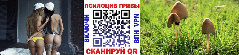 Галлюциногенные грибы прущие грибы  omg ONION  Шелехов 