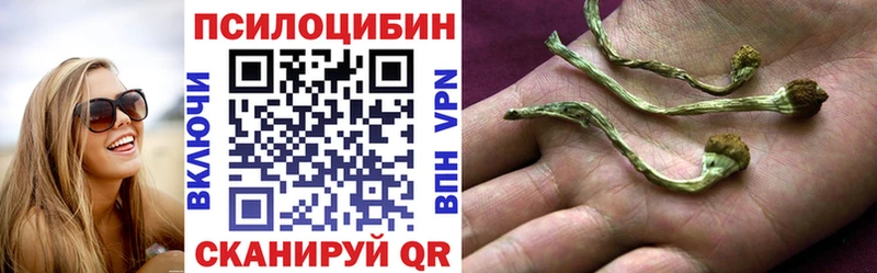 Галлюциногенные грибы Psilocybe Шелехов